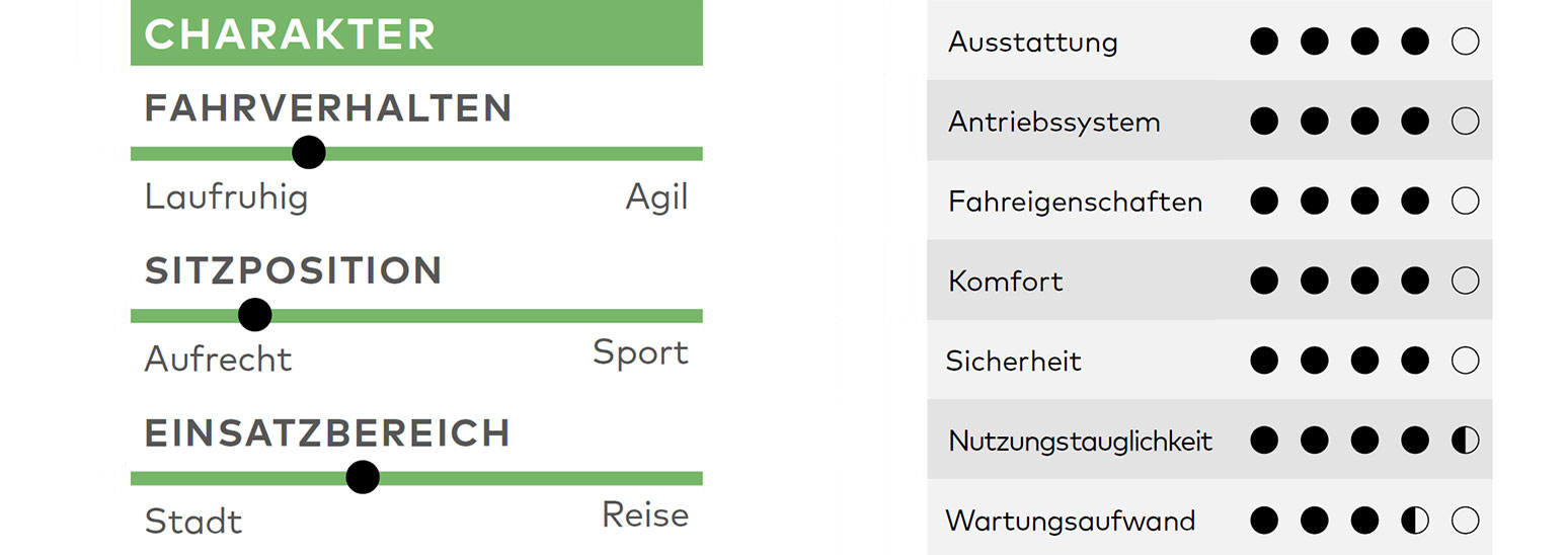 Grundig GCB-1, E-Bike, E-Bike-Test, Kaufberatung