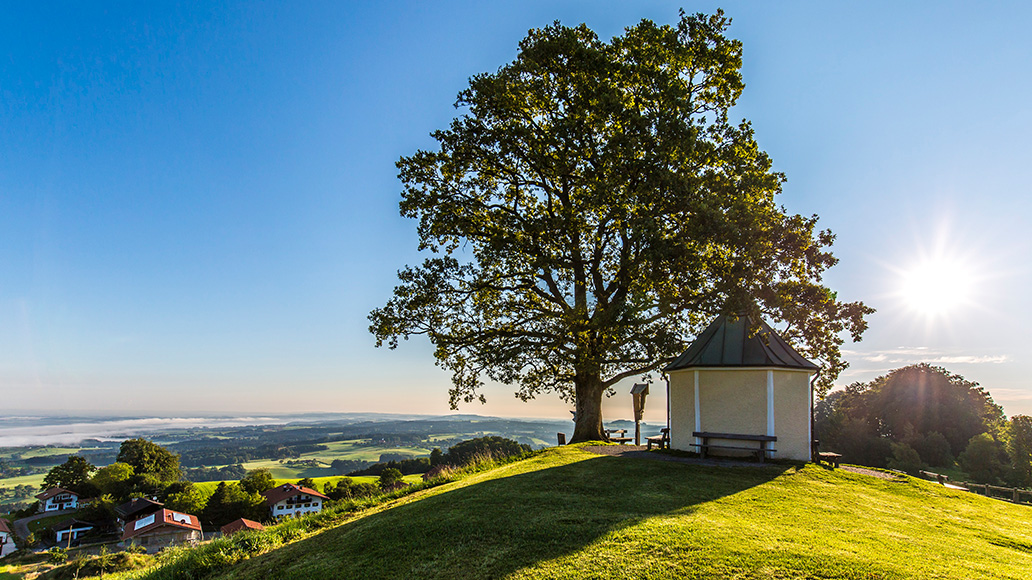 Chiemsee, Alpen, Radfahren, Radtour, Radreise, Fahrrad, E-Bike, Pedelec