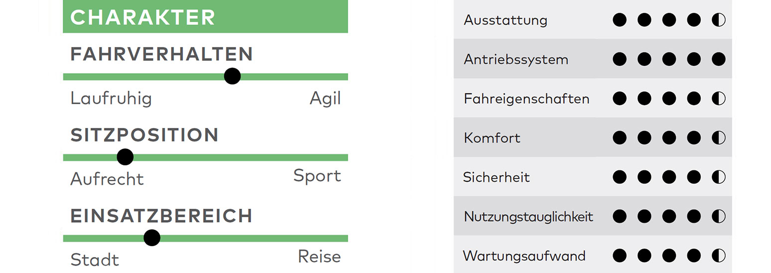 Raymon Metmo Pro, E-Bike-Test, Test, Kaufberatung